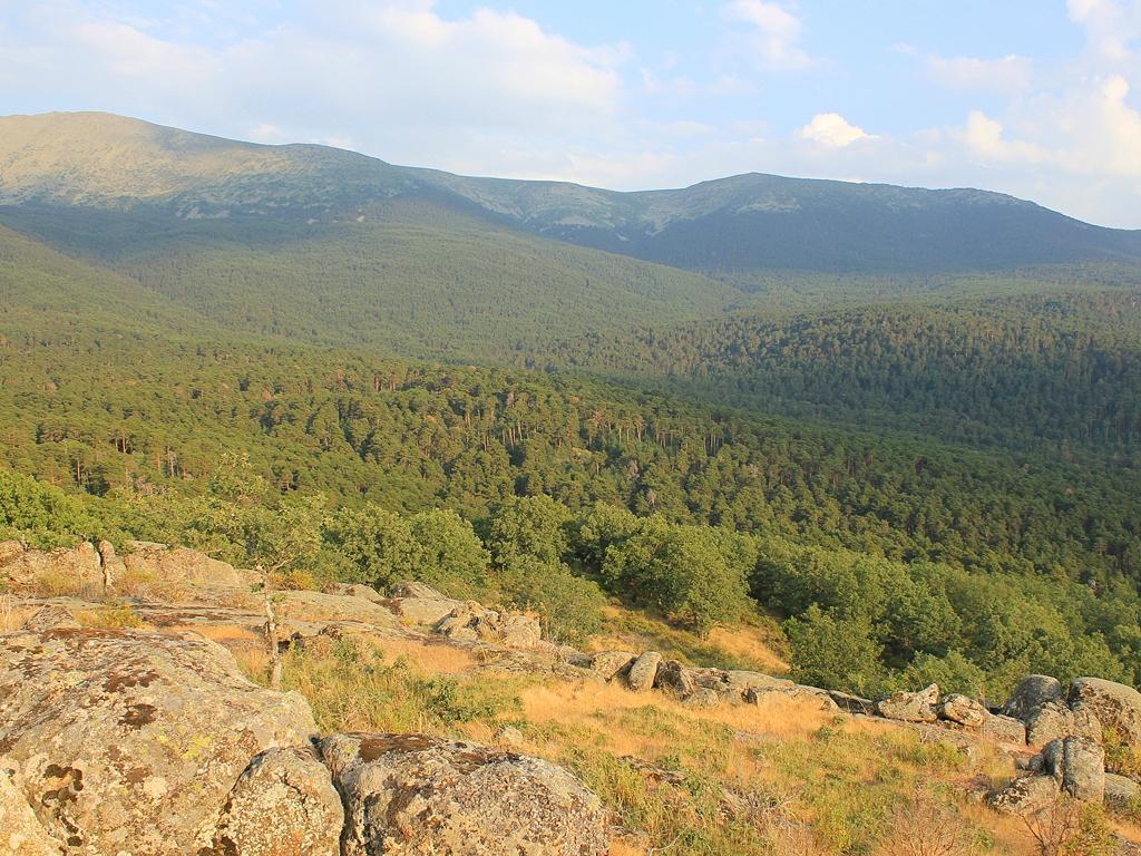 منزل الضيف La Pradera de Navalhorno  في La Querencia De Valsain المظهر الخارجي الصورة